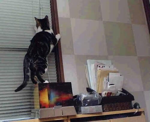 从1-2到3-2,当逆转基因刻入龙骨