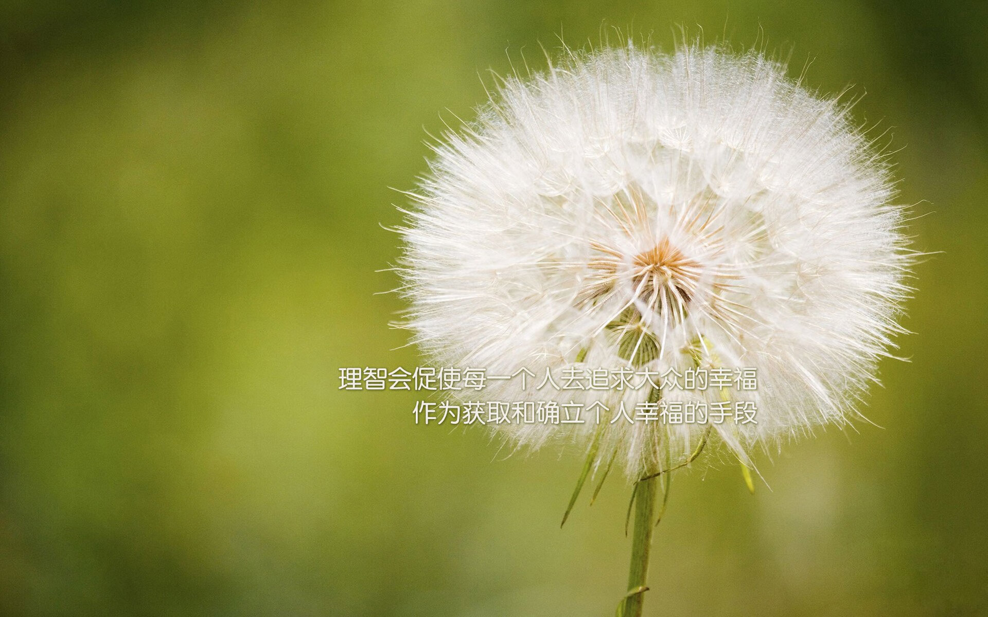 从最黑暗的48小时到最辉煌的72小时,温网溃败与年终逆转,兹维列夫的涅槃时刻