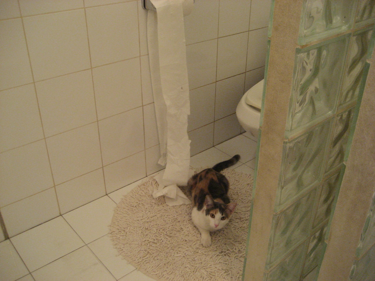 当雄鹿字母哥空降马刺主场，与广厦队来一场虚构的巅峰对决，解密大场面先生的终极定义