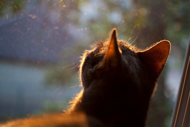 扩展思维，文章标题构思