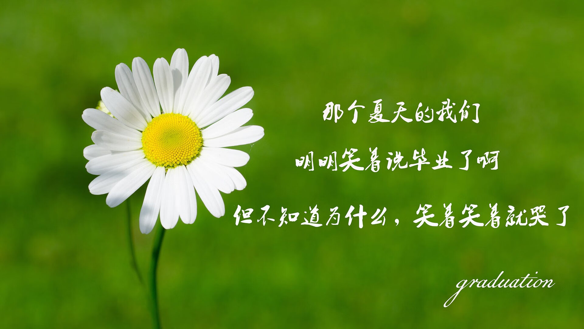 跌入深渊前,他亲手撕碎了剧本,哈兰德封神之夜,阿根廷用最残忍的方式完成救赎